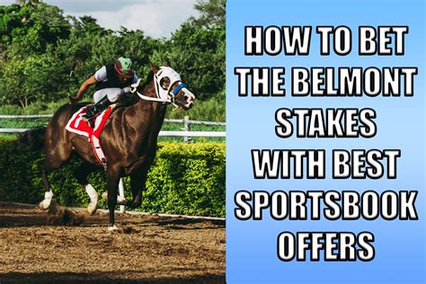 how to bet the belmont stakes|How to bet the Belmont Stakes .